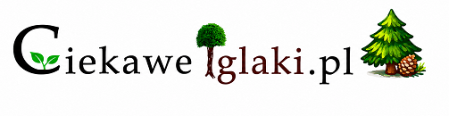 Ciekaweiglaki 