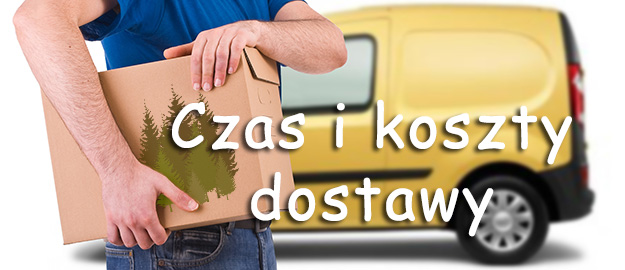 Czas i koszty dostawy