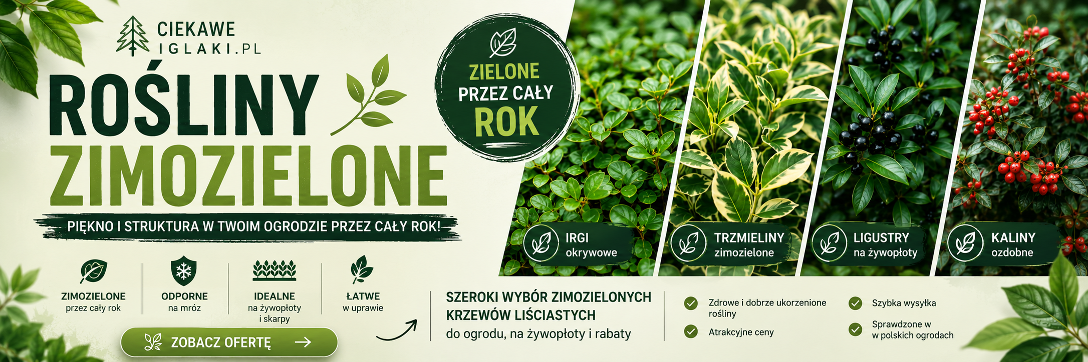 Zimozielone