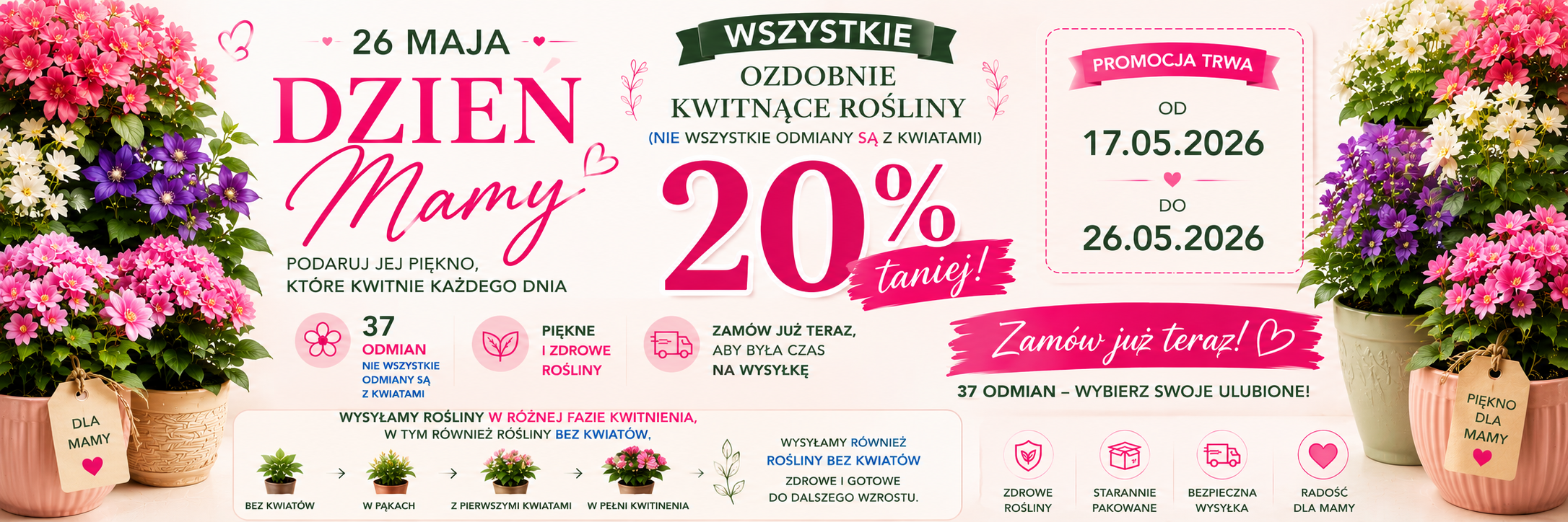 Dzień Mama