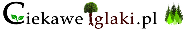 Szkółka Drzew i Krzewów Ozdobnych CIEKAWEIGLAKI